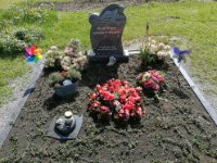 ein Bild aus dem Album