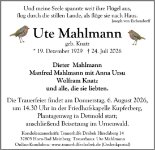 eine Anzeige